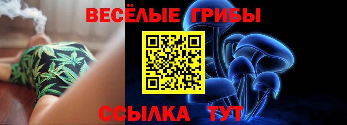 Галлюциногенные грибы мицелий Сафоново