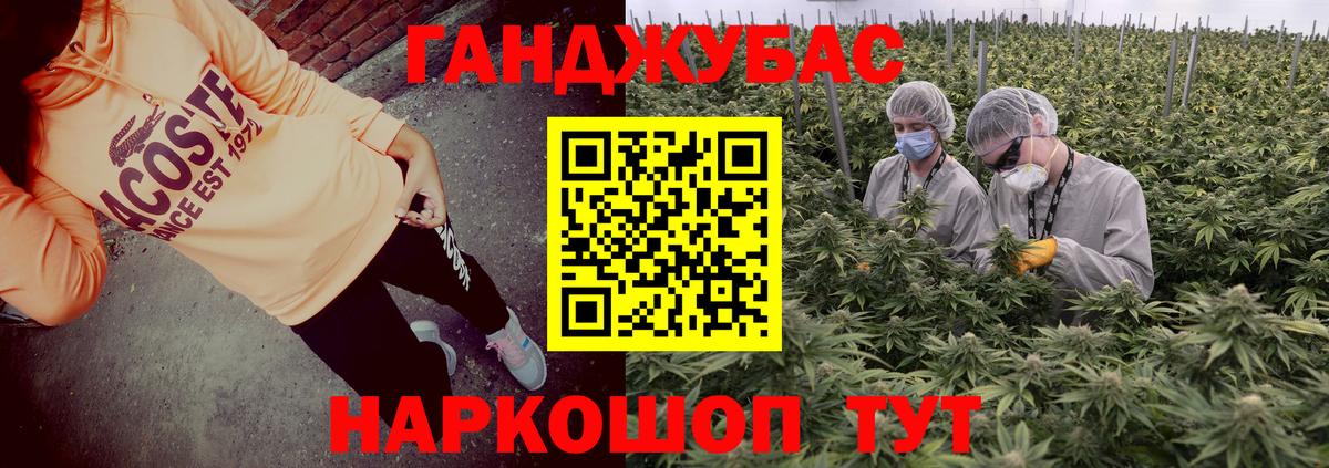 Конопля планчик Сафоново